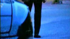 Χρήστος Αντωνιάδης - Μάγια - магия - Videoclip.bg