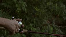 Приключенията на динозавъра Одисеята на Албърт  The Adventures of Jurassic Pet  (2019) Бг Аудио Част 1 - Videoclip.bg