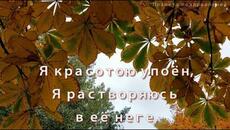 Осенняя грусть. Красивая музыка, саксофон - Videoclip.bg