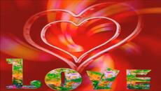 flowers for you(fiori per te) feel my heart - Videoclip.bg