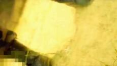 The Flirts - Helpless 2023 - Videoclip.bg