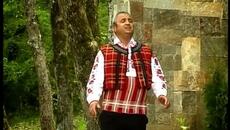 Никола Данданов - Мама на Стоян думаше - Videoclip.bg
