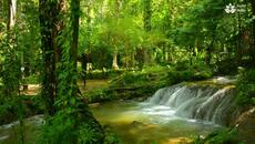 Unwind and Rejuvenate: 10 Hours of Calming Nature Sounds, Beautiful Waterfall in Forest - Videoclip.bg