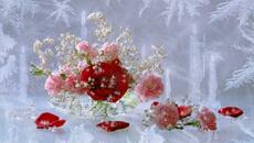 ❤️Рози в снега ... (music by Paul Mauriat)❤️ - Videoclip.bg