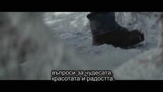 10_Възстановяване на колибата - Videoclip.bg