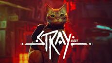 STRAY | Launch Trailer - Videoclip.bg