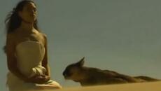 Pandera - In My Dreams (extended version) - Videoclip.bg