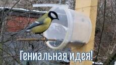 Почему я Раньше до этого не додумался, Как сделать Кормушку для птиц за 3 минуты! - Videoclip.bg