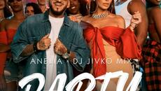 Анелия ft. Dj Живко Микс - Party (Audio) - Videoclip.bg