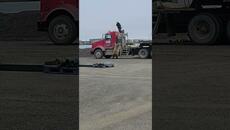 Мечки гризли гонят шофьор - Truck driver chased by grizzly bear in Deadhorse Alaska - Videoclip.bg