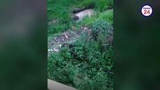Жесток побой над 11-годишно момче в Луковит: Родители настояват за справедливост - Videoclip.bg