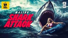 Malibu Shark Attack - Une menace vient des profondeurs  - Horreur - Film complet  - Sub - ACE - Videoclip.bg