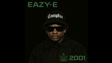 Forgot About Eazy Remix [Eazy-E Forget About Dre] (BG Knocc Out) - Videoclip.bg