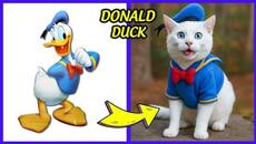 Mickey Mouse Characters as Cats in Real Life + Guess the Voice Quiz ~ Daisy Duck, Donald Duck... - Videoclip.bg