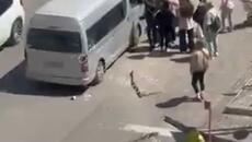 Украински жени спасяват момчета хванати за фронта - май 2025 - Videoclip.bg