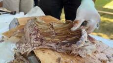 Фестивал ма печеното и вкусно агнешко месо в Ягнило, едно малко селце близо до Младеновац (Сърбия) - Videoclip.bg