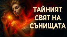ТАЙНИЯТ СВЯТ НА СЪНИЩАТА – Рудолф Щайнер ~ аудио книга @IstinaBG - Videoclip.bg