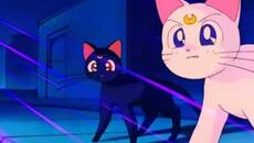 Sailor_Moon_R_88 HD japonés subtitulado inglés - Videoclip.bg