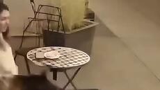 Ето как животните показват понякога привързваноста си. - Videoclip.bg