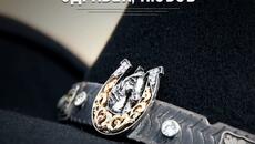 Емилия - Здравей, Любов (Audio) - Videoclip.bg