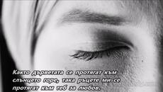 Tom Jones - You’re My World (Il Mio Mondo) - BG субтитри - Videoclip.bg