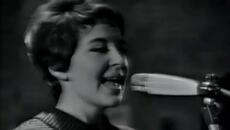 The Birds And Bees (1966) - Shout - Videoclip.bg