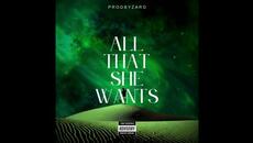 ACE OF BASE - ALL THAT SHE WANTS (PBZ Funk Remix) - Videoclip.bg