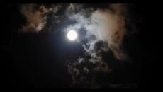 meat computer - full moon energy portal (official video) - Videoclip.bg