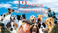 12 Dogs of Christmas (2005) | A Wonderful Christmas Movie for the Whole Family 4K - Videoclip.bg