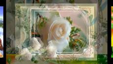 "White Rose" ... ... (music Victor Huynh) ... ... - Videoclip.bg