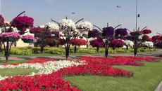 Най-голямата и красива градина в света! - Dubai Miracle Garden - Videoclip.bg