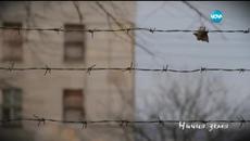 Ничия Земя (07.02.2015) Затвор за деца - „Може и да не вярвате, но .... - Videoclip.bg