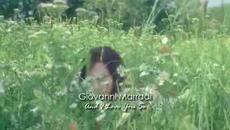 Честит Свети Валентин 2015! Happy Valentine's Day Giovanni Marradi - And I Love You So - Videoclip.bg