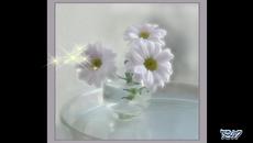 Have a nıce day! ... ... - Videoclip.bg
