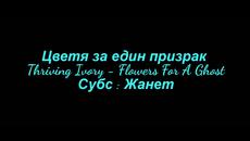 • Цветя За Един Призрак • Thriving Ivory - Flowers For A Ghost/ Превод / - Videoclip.bg