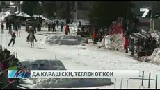 Коне дърпат скиори - Videoclip.bg