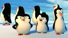 Пингвините от Мадагаскар - Анимационен филм за деца 2015 Penguins of Madagascar - Videoclip.bg