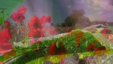 André Rieu - Nightingale Serenade (Toselli Serenade) - Videoclip.bg